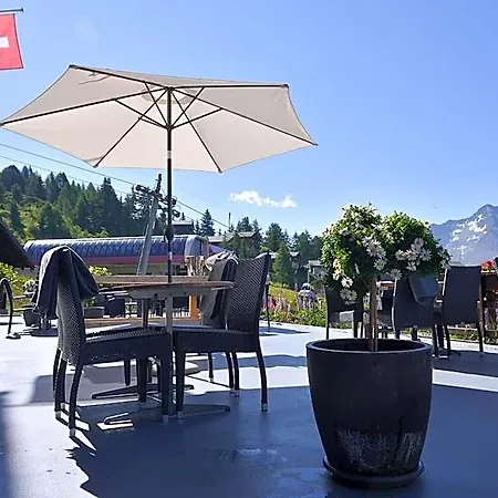 Hotel Bettmerhof 3*